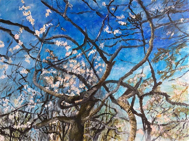 Jane Sherrill's painting Blossoms